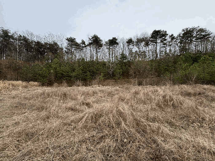 본건 내부 전경 및 제시외수목