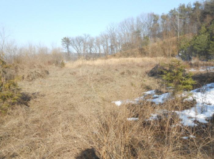 일부 묵히는 전 모습