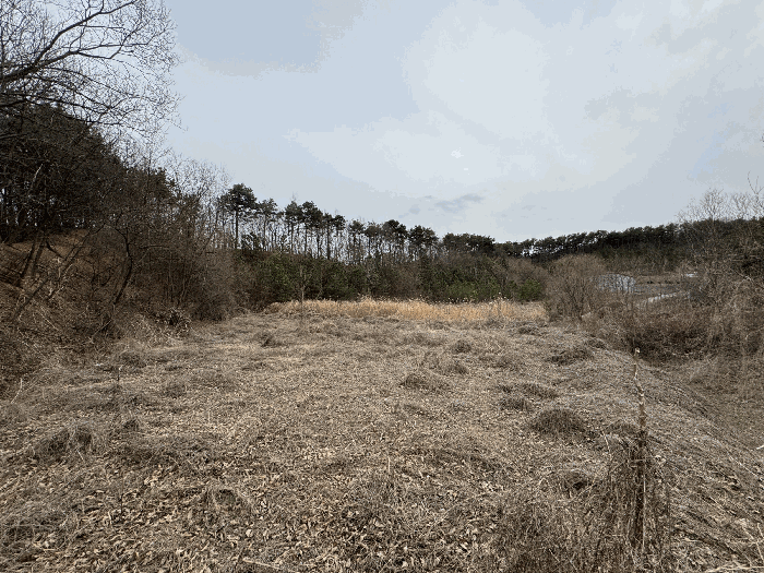 본건 내부 전경