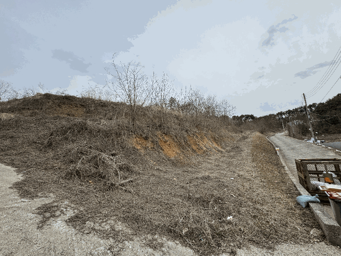 본건 북측 전경