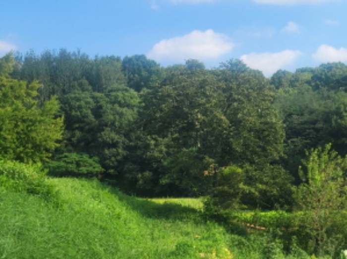 경북 성주군 월