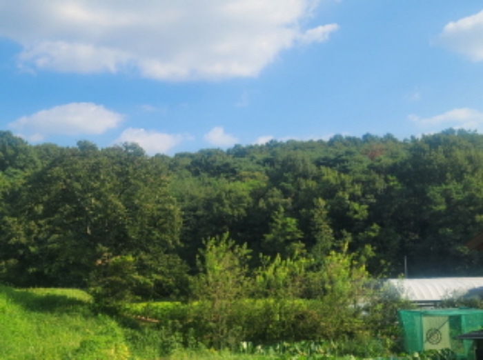 경북 성주군 월