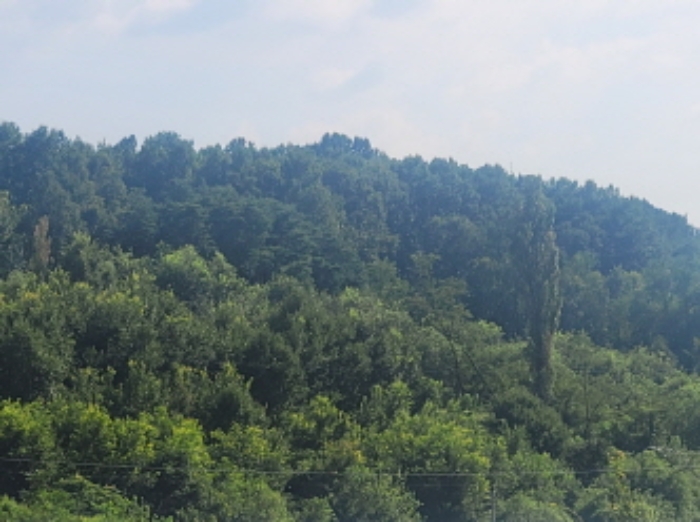 경북 성주군 월