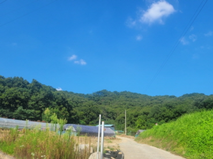 경북 성주군 월