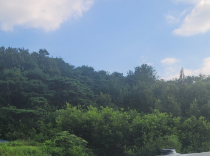 경북 성주군 월