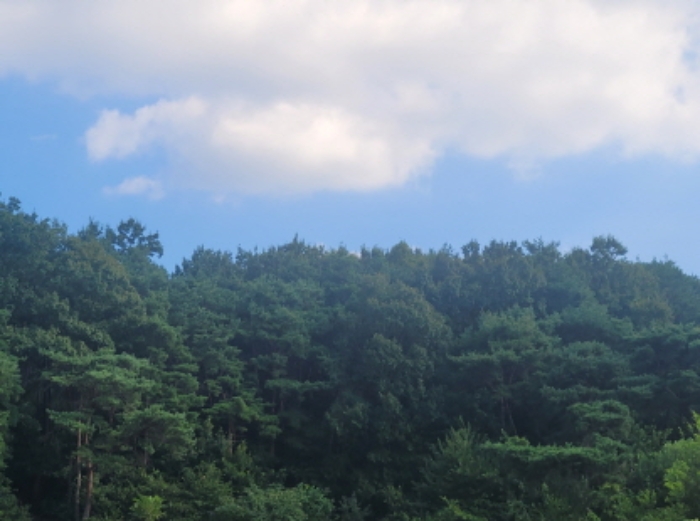 경북 성주군 월