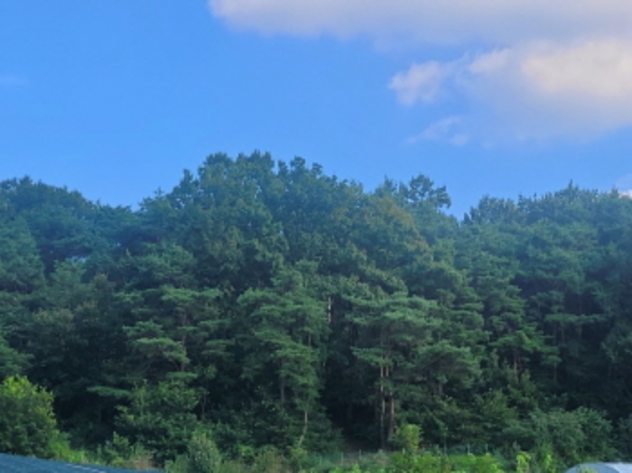 경북 성주군 월