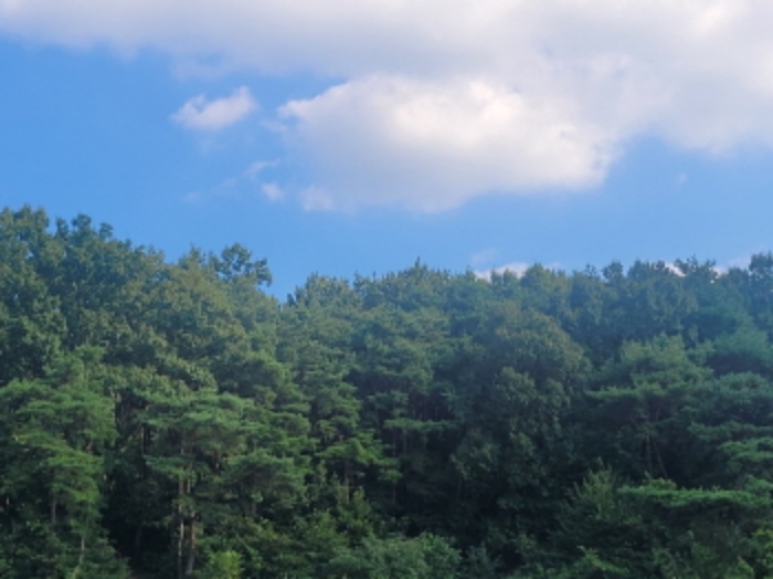 경북 성주군 월