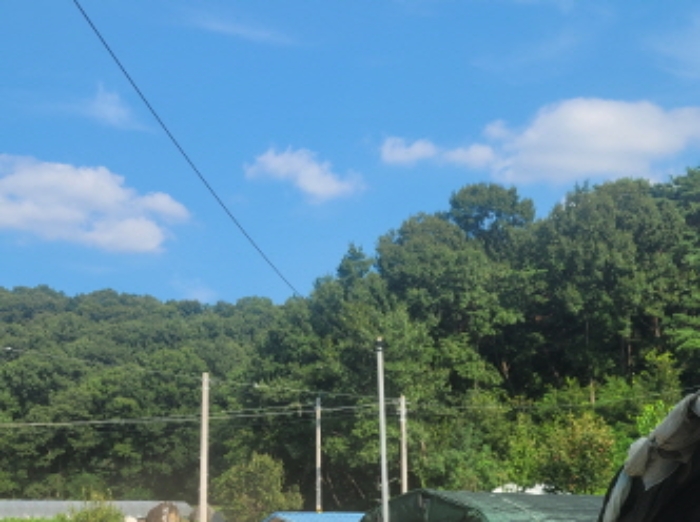 경북 성주군 월