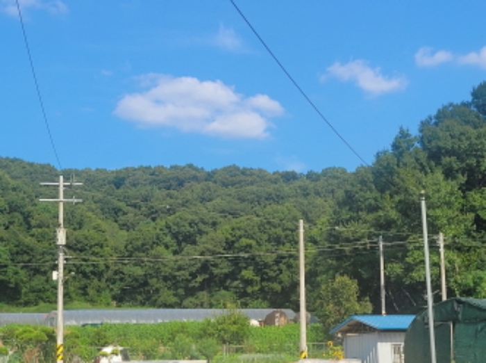 경북 성주군 월