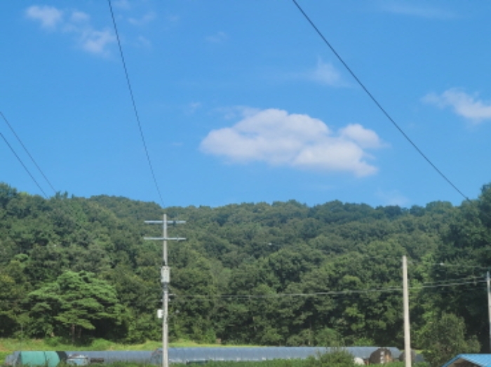 경북 성주군 월