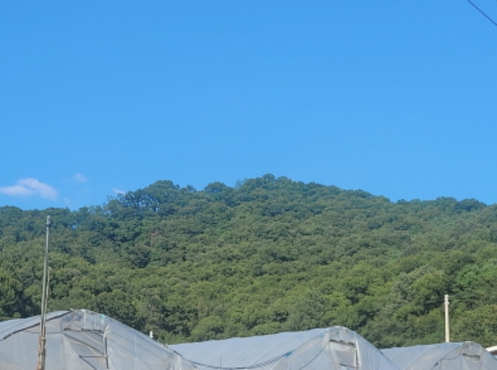 경북 성주군 월