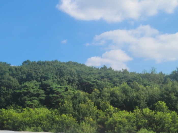 경북 성주군 월