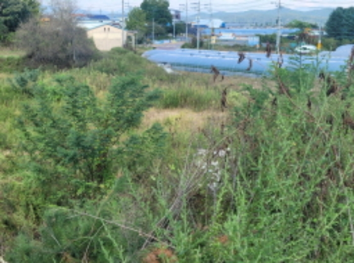 경북 성주군 선남면 소학리 578