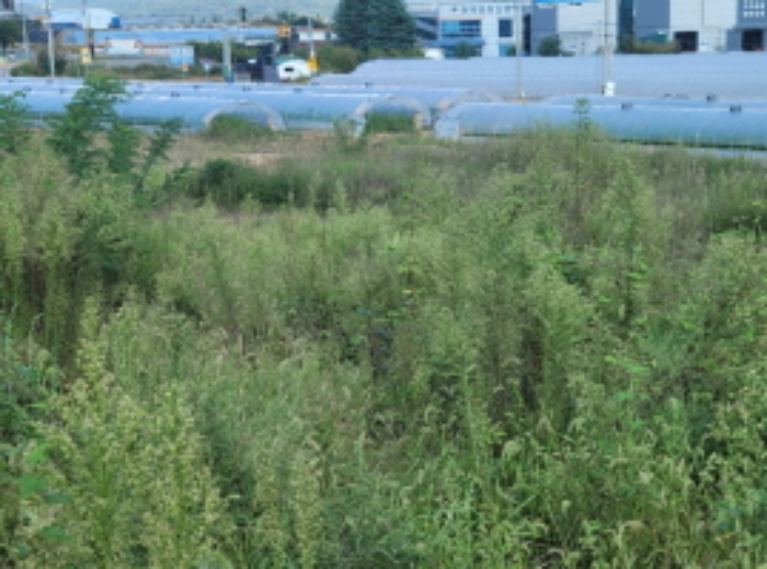 경북 성주군 선남면 소학리 577