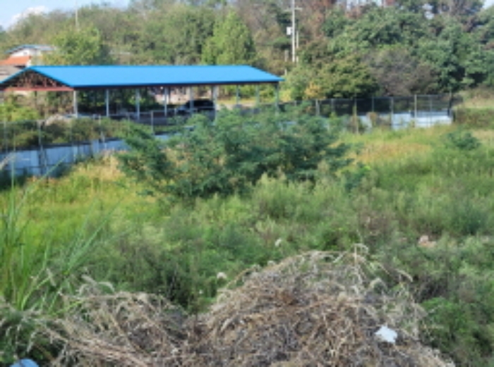 경북 성주군 선남면 소학리 579