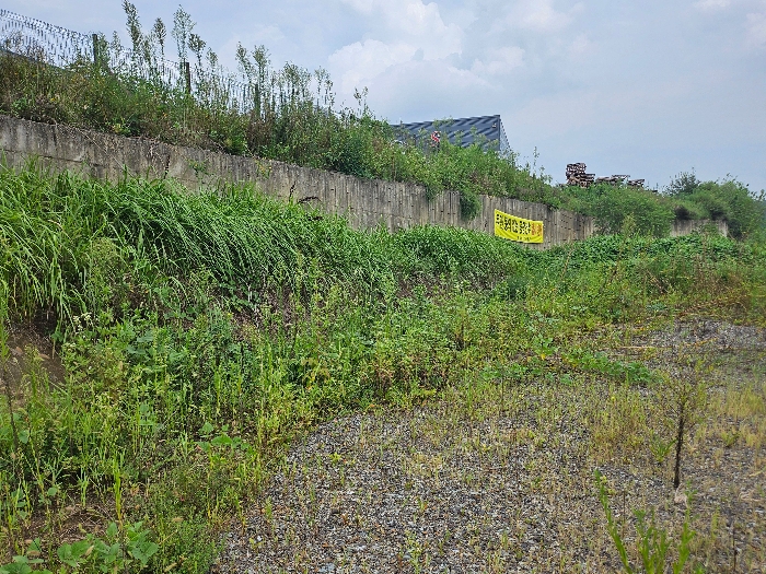 대상물건 1), 2) 토지 전경