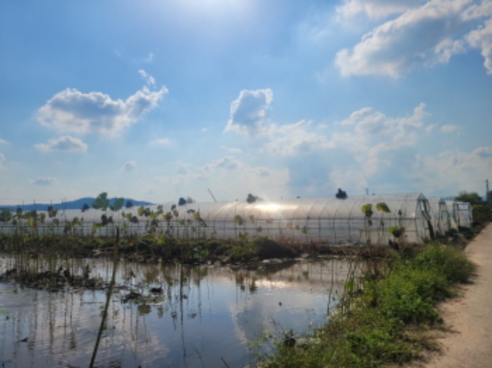 대구 달성군 하