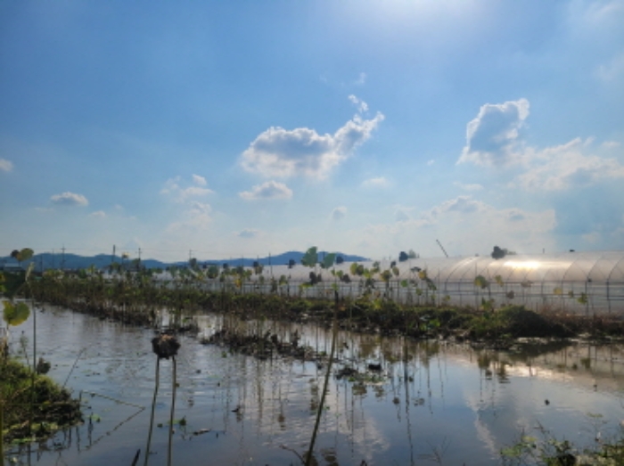 대구 달성군 하