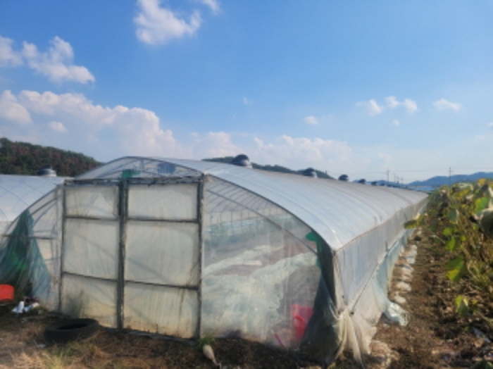 대구 달성군 하