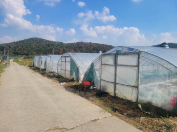 대구 달성군 하