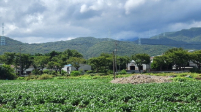 부동산의 표시 1, 2 전경