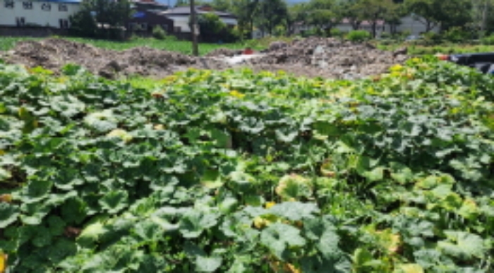 부동산의 표시 2.