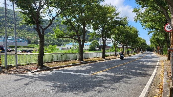 본건 및 주위환경