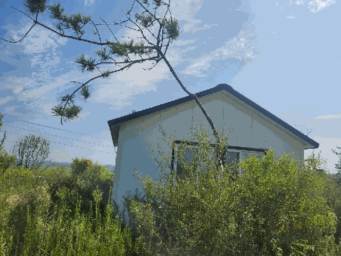 기호(4) 지상소재 제시외수목