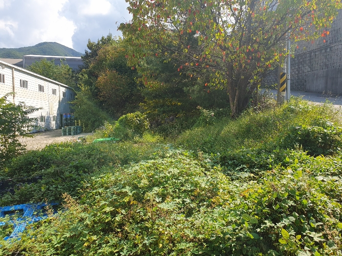 기호1 서측 경계부분