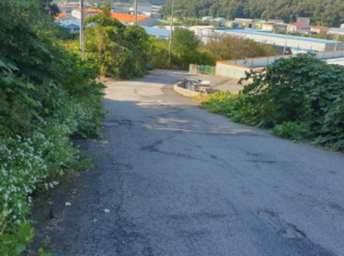 현장사진(토지:무갑리 448-15, 448-29, 449-7 부근 전경)