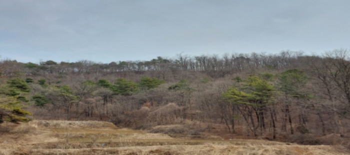 목록1 토지 일부 전경