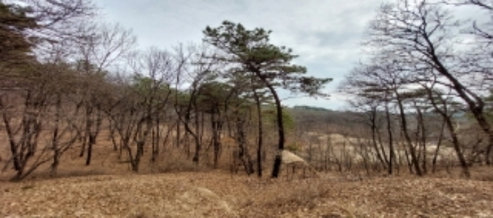 목록2 토지 일부 전경