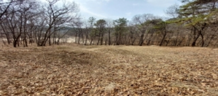 목록2 토지 일부 전경