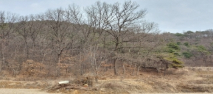 목록1,2 토지 일부 전경