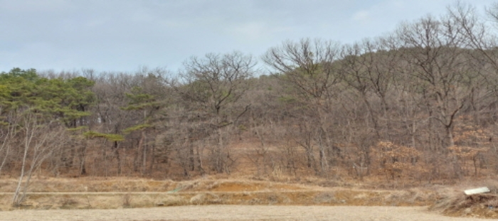 목록1,2 토지 일부 전경