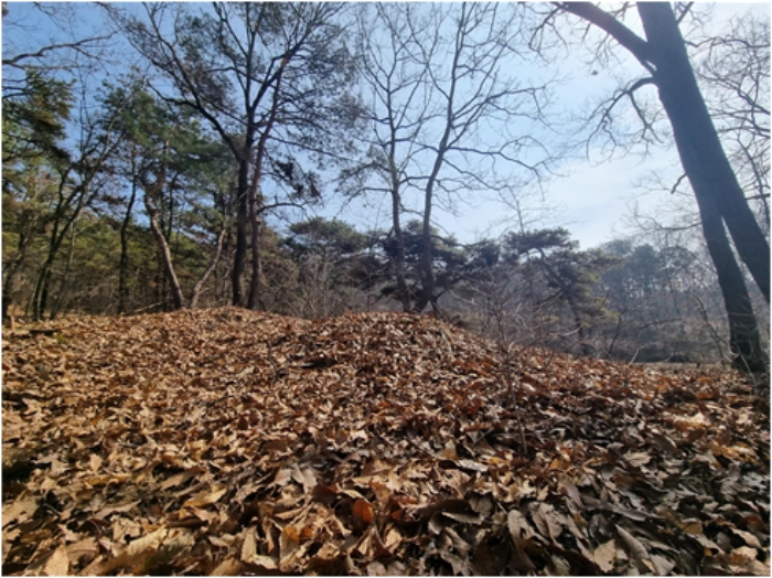 [ 기호 1 지상 분묘 ]