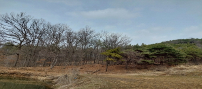 목록1 토지 일부 전경