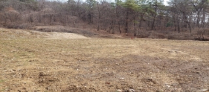 목록1 토지 일부 전경