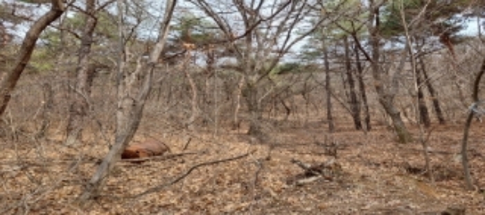 목록1 토지 일부 전경