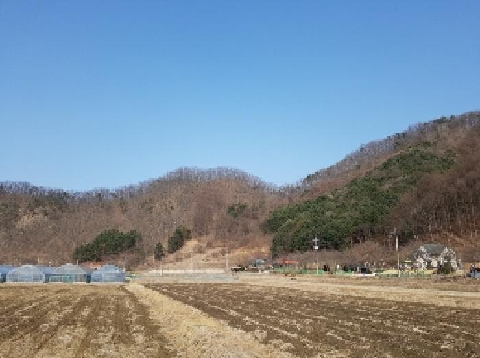 제시부동산 전경2