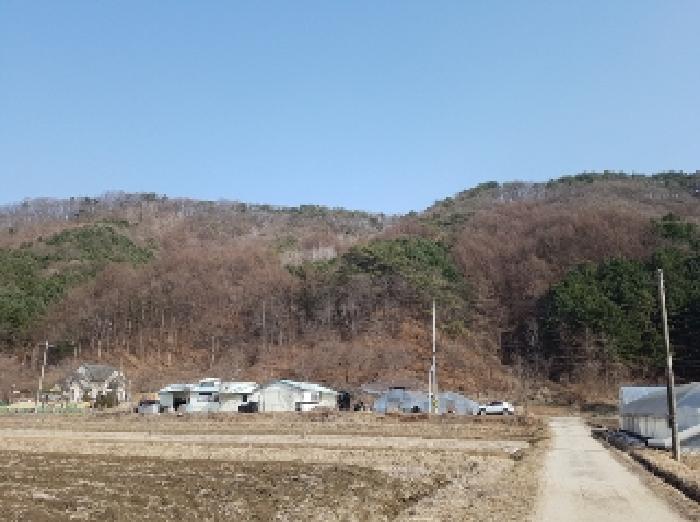 제시부동산 전경3