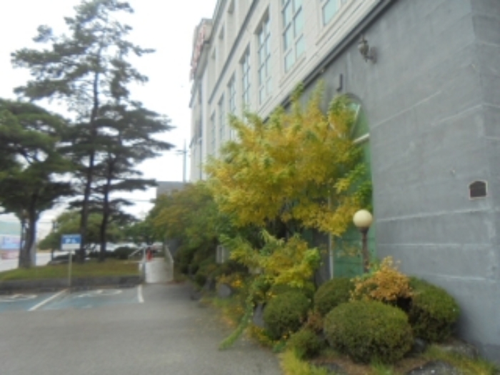 목적물 2번에 조경수