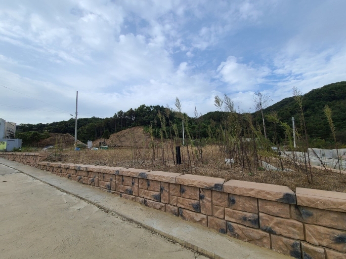 기호 (1, 5) 허가지1