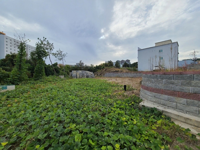 기호 (1, 5) 허가지7