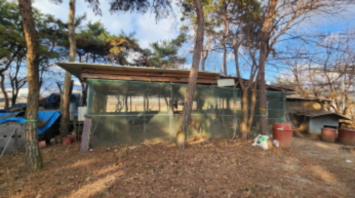 제시외 경량철골조강판지붕 계사 및 견사