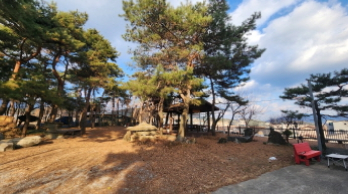 본건 3 전경 및 조경수 및 조경석