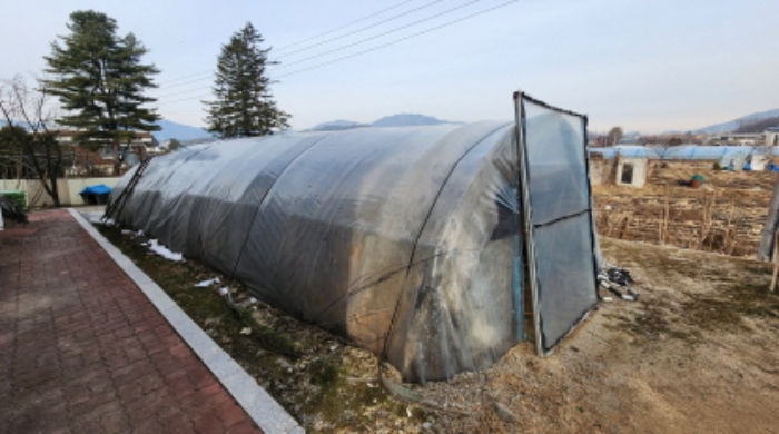 제시외 비닐하우스