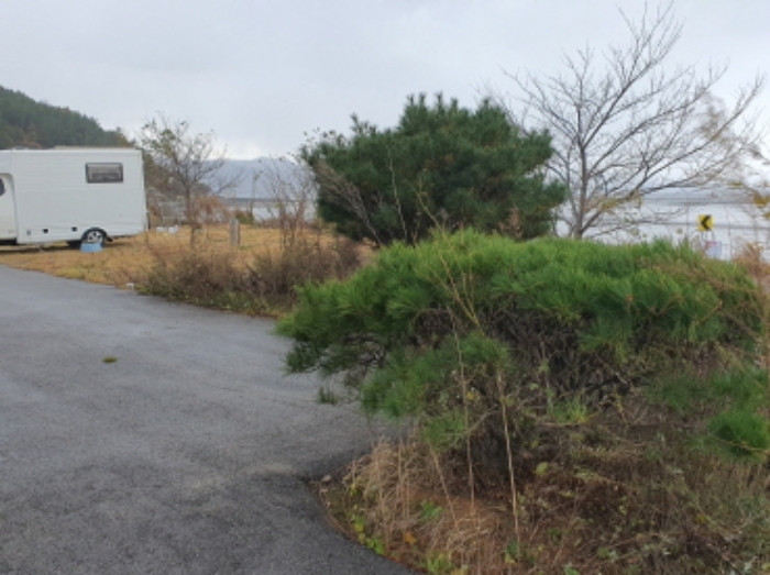 부동산표시 1번지상 조경수 전경