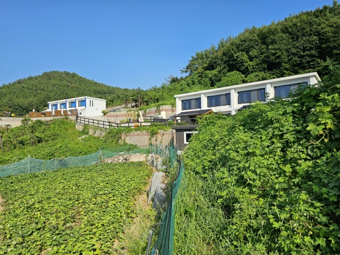 토지(2)(석축 하단부) 전경